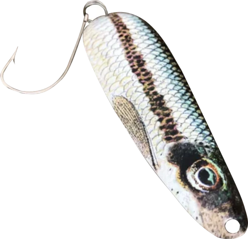 Minnowie 3 1/2" Fishing Spoon