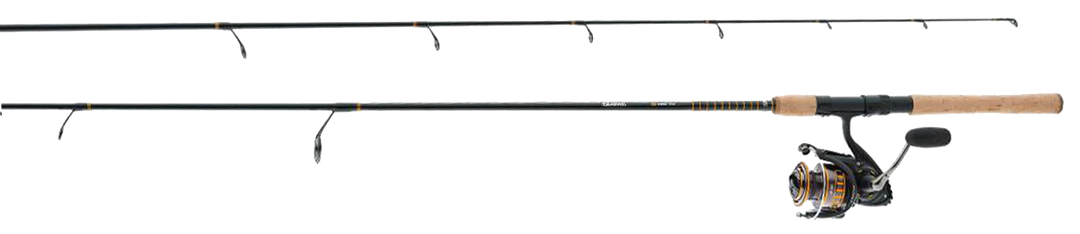 DAIWA BG SPINNING COMBOS
