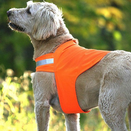 BLAZE ORANGE DOG VEST