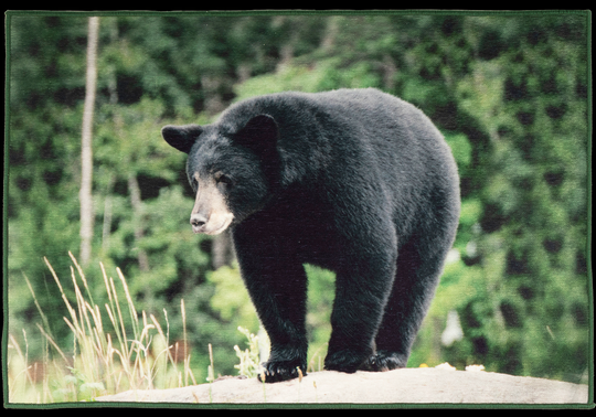 Green Trail Wildlife Carpet