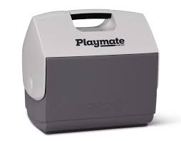 IGLOO PLAYMATE  16 QT