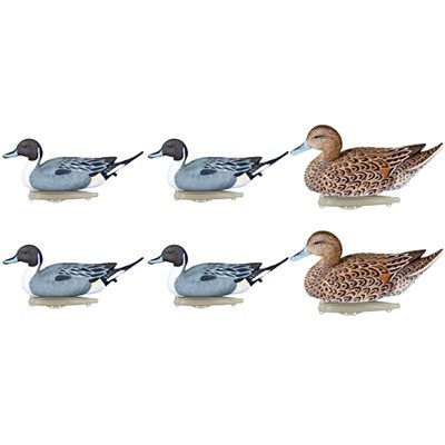 Flambeau Storm Front Pintail